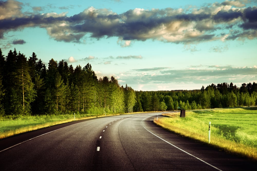 Asphalt road in forest