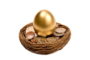 golden egg in a nest of money