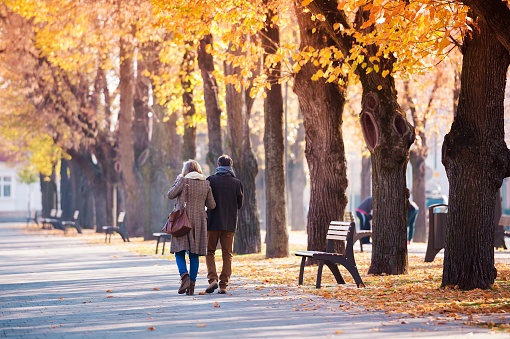 Bankruptcy and the Baby Boomer Generation