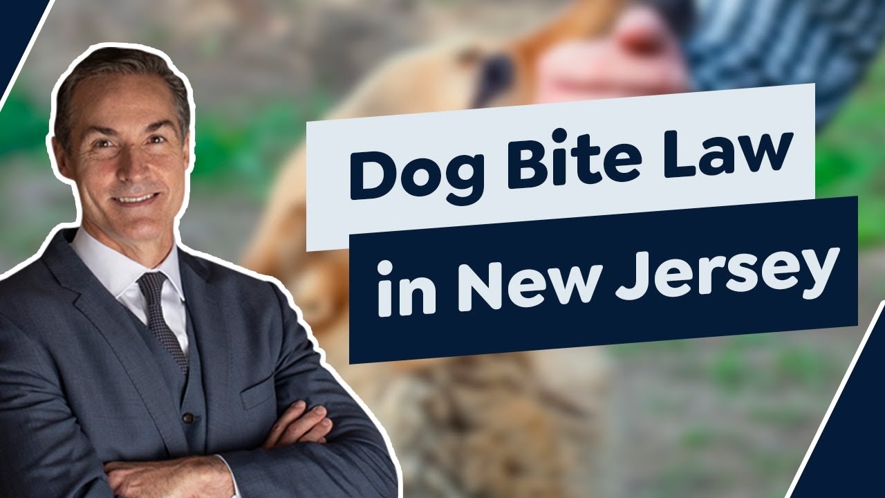 When Is a Dog Owner Liable for a Dog Bite in New Jersey?